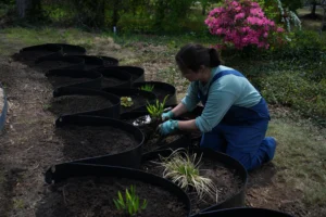 A beautiful woman delicately transplanting some juvenile river oats into a Dirtlocker terracing frame.
